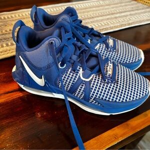 Nike Kids Blue and White basketball Sneakers size 5.5